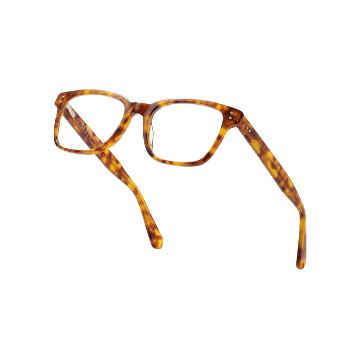 dalton-tortoise-rectangle-eyeglasses-4