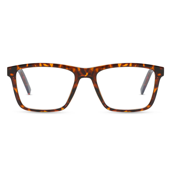 Fable-tortoise-rectangle-eyeglasses-1