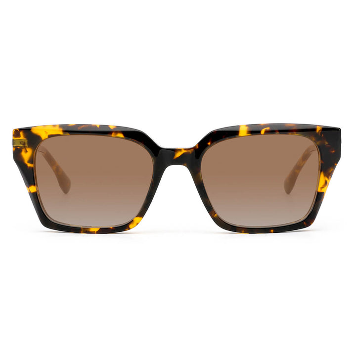 foster-tortoise-square-sunglasses-2