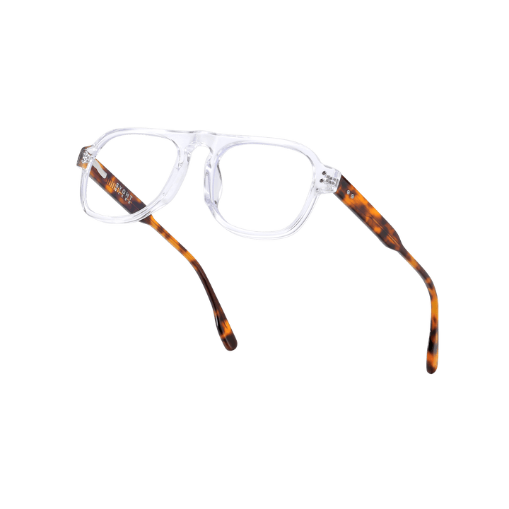 hector-translucent-rectangle-eyeglasses-4