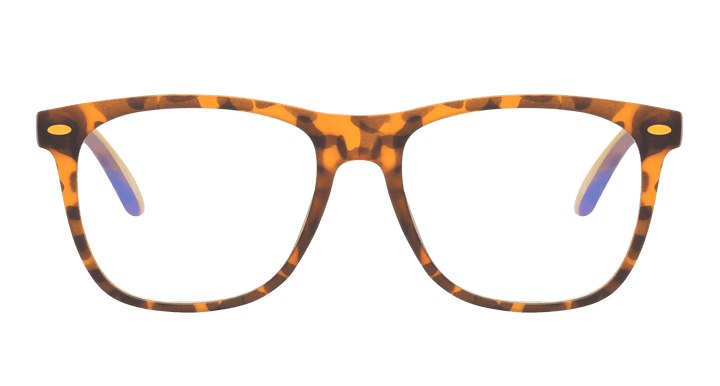 kids-v2-tortoise-square-kidswear-1