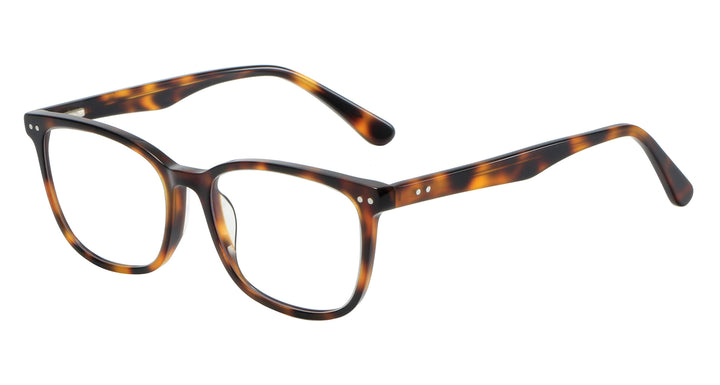 project-tortoise-rectangle-eyeglasses-2